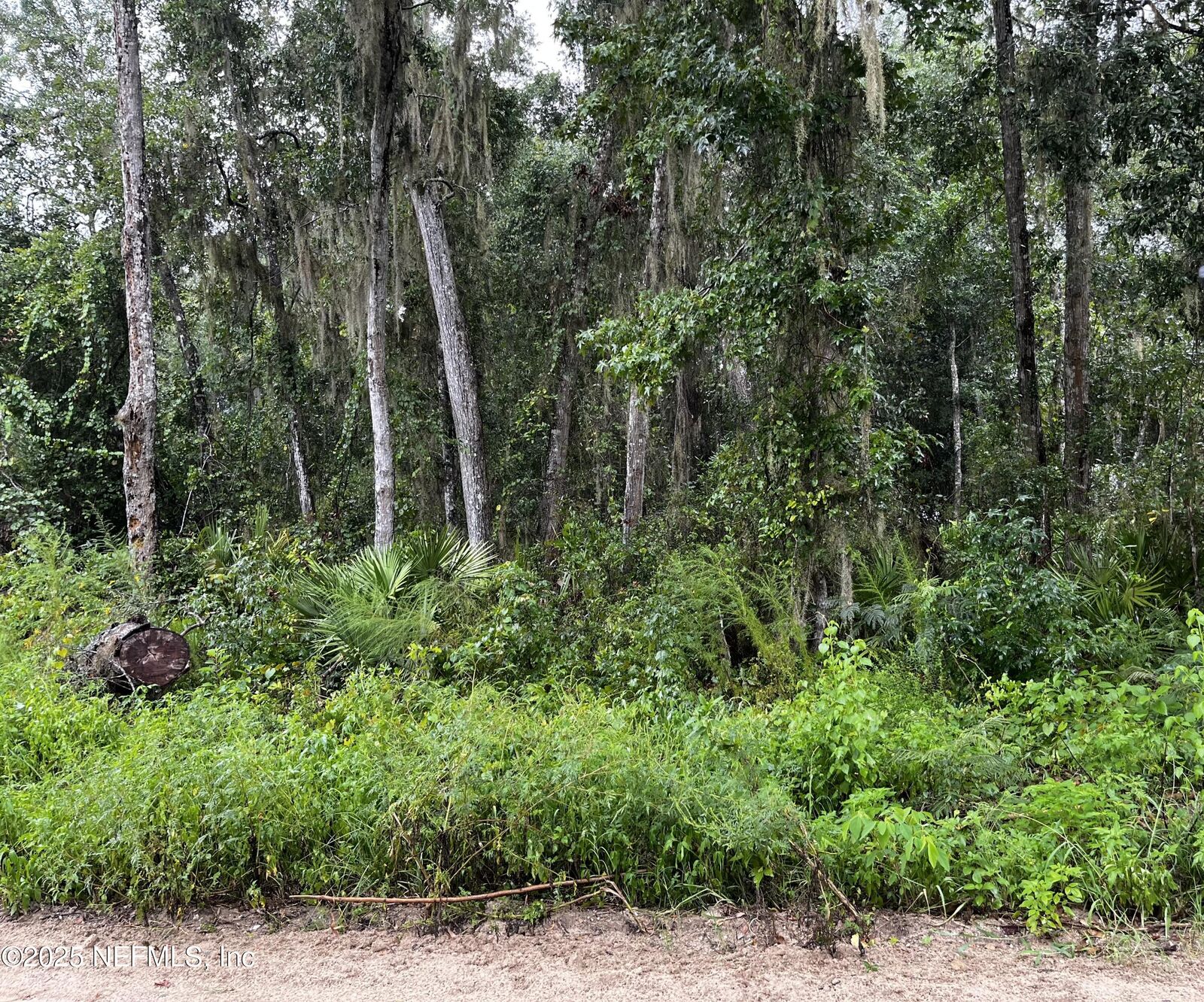 Property Photo:  0 Woodlawn Road  FL 32189 