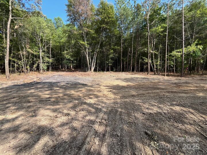 V/L W V Thompson Road 2  Rutherfordton NC 28139 photo