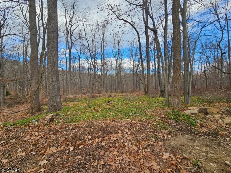 Property Photo: 34 Starlight Dr NJ 07960