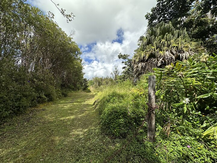 Property Photo: 11-3035 Pikake St HI 96771