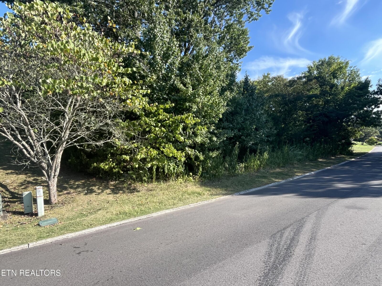 Property Photo:  Lot 60 Bradford Village Way  TN 37763 