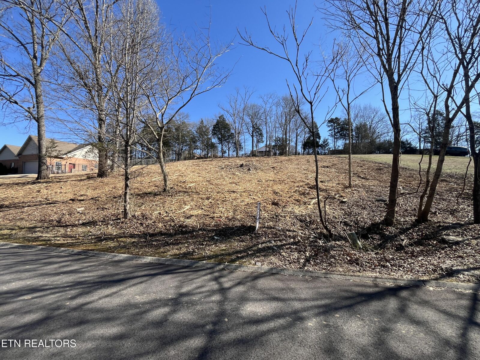 Property Photo:  Lot 60 Bradford Village Way  TN 37763 