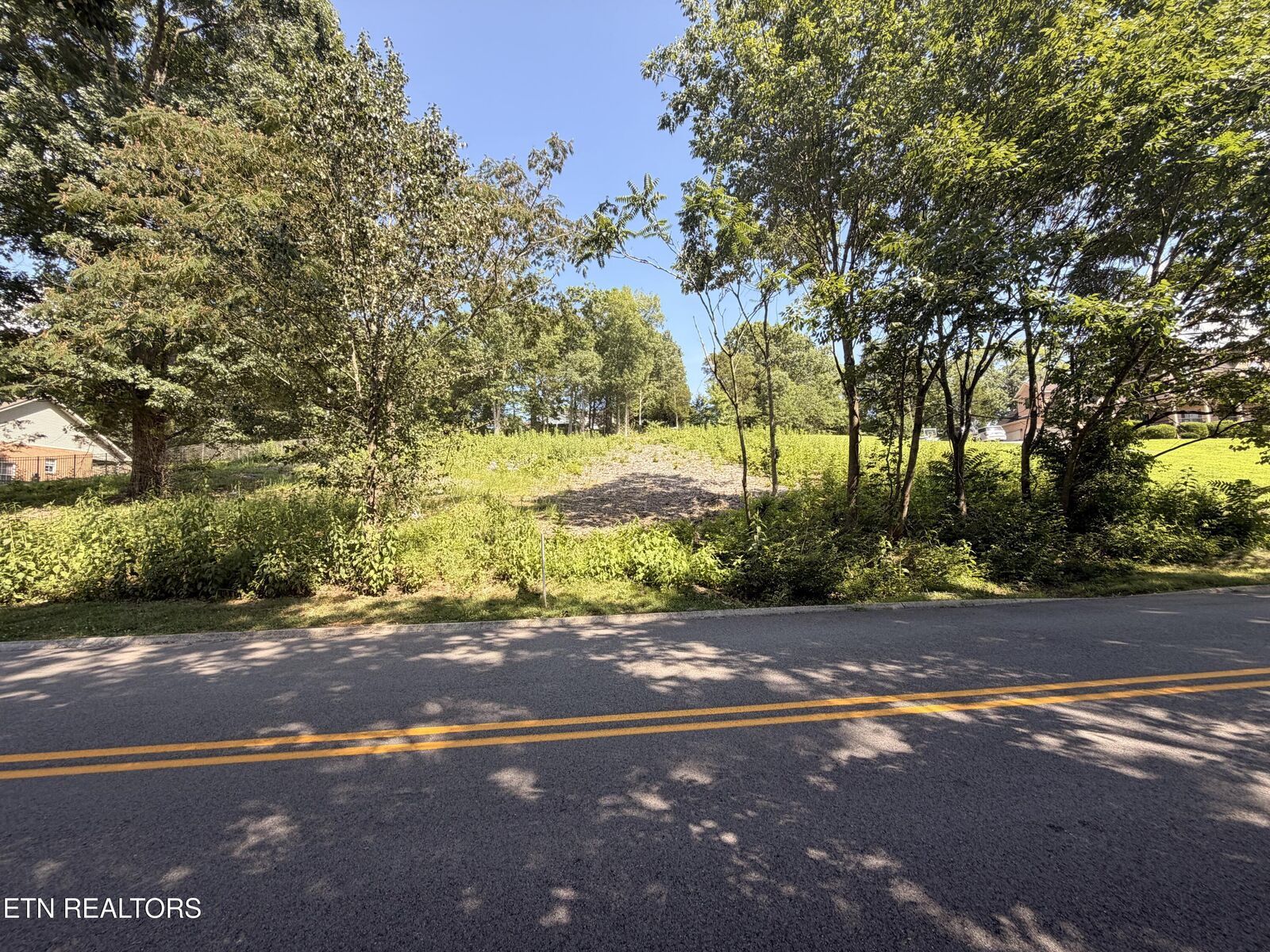 Property Photo:  Lot 60 Bradford Village Way  TN 37763 