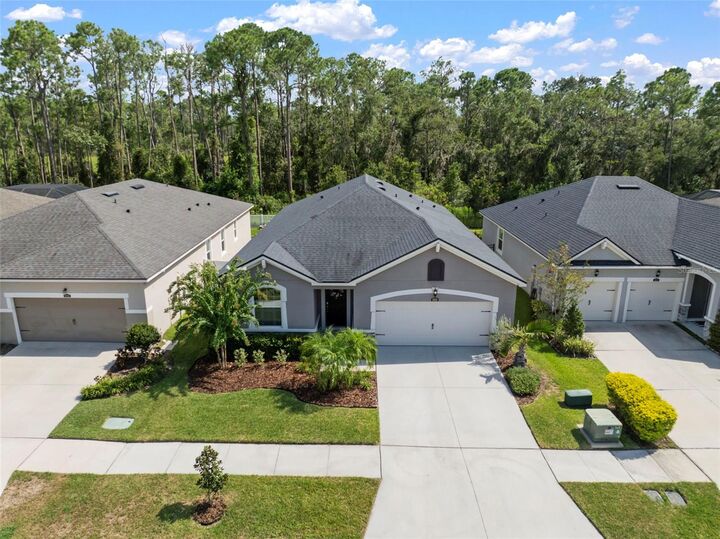 Property Photo:  13223 Baby Belle Drive  FL 33579 