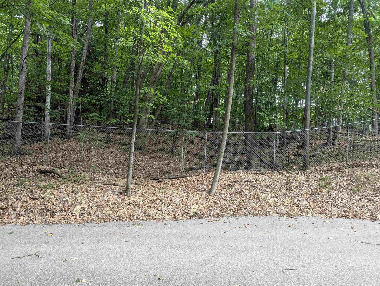 Property Photo: 000 Peninsula Ridge Drive MI 49686