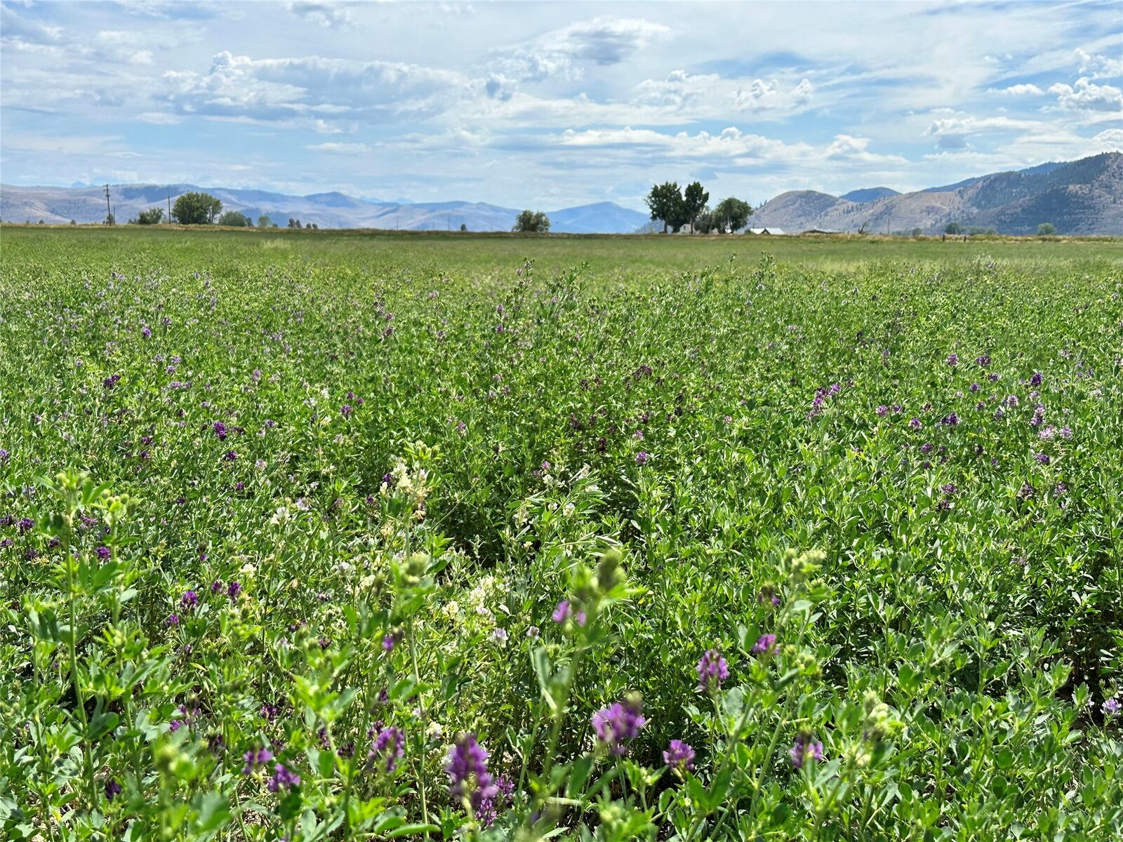 Property Photo: Nhn Garcon Gulch Road MT 59845