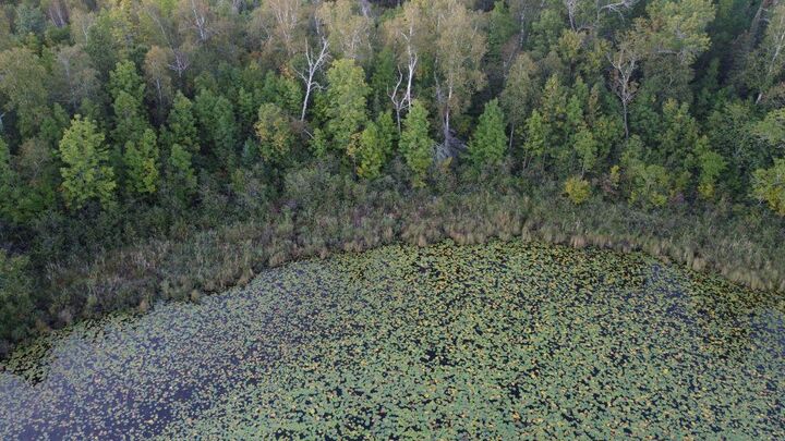 Property Photo: Parcel B E Gunn Lake Trail MN 56657