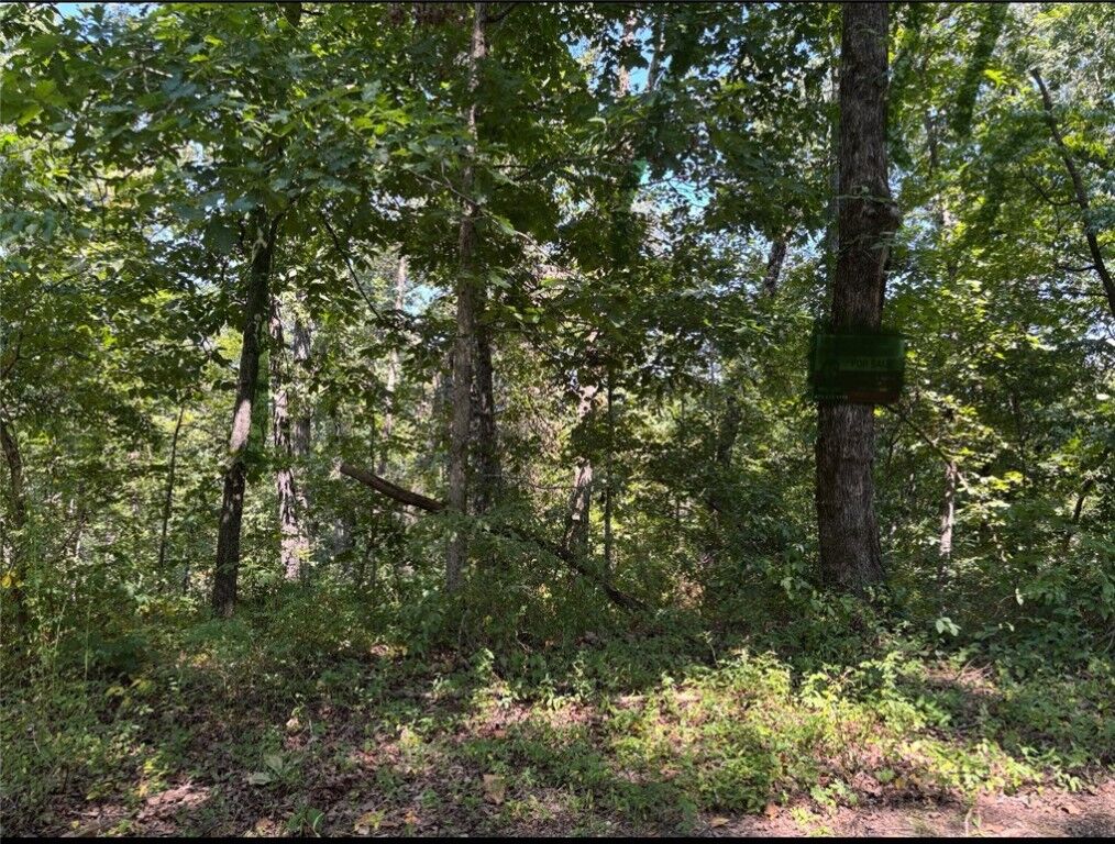 Property Photo: Lot 12 Block 5 Halford Circle AR 72715