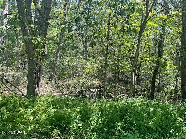 Property Photo: Lot 5207 Seneca Drive PA 18337