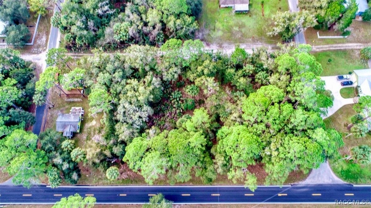 Property Photo: 000 Hwy 40 Highway FL 34498
