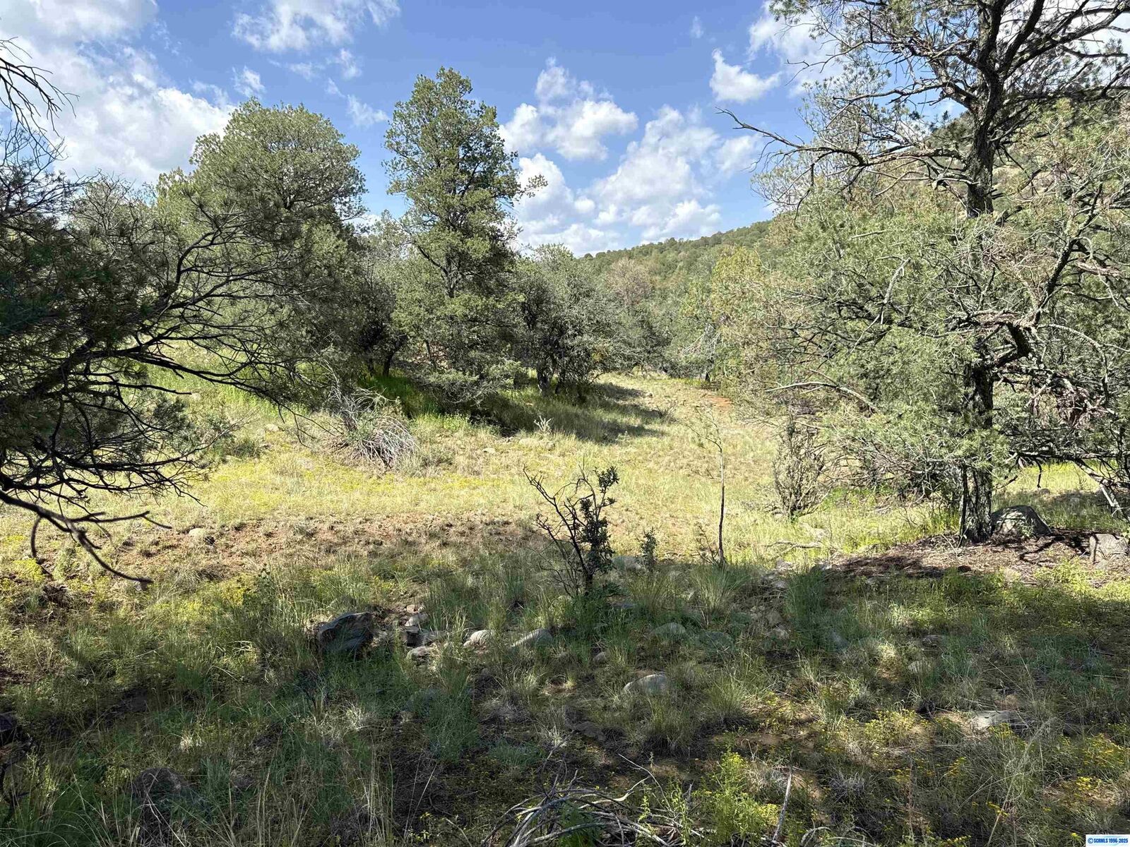 Property Photo:  Xy Black Dog Road  NM 88061 