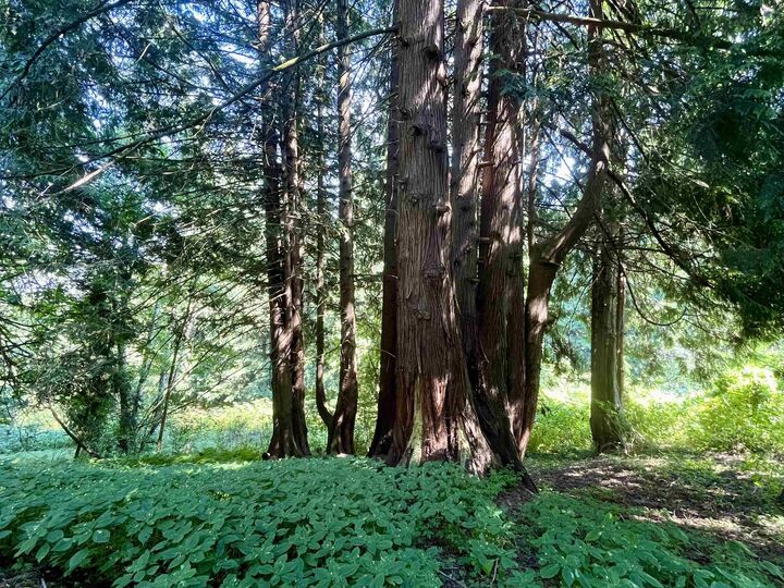 Property Photo: 6080 Ross Road BC V2R 4S6