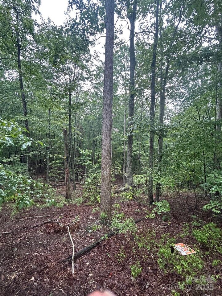 90 Adirondack Trail 88  Nebo NC 28761 photo