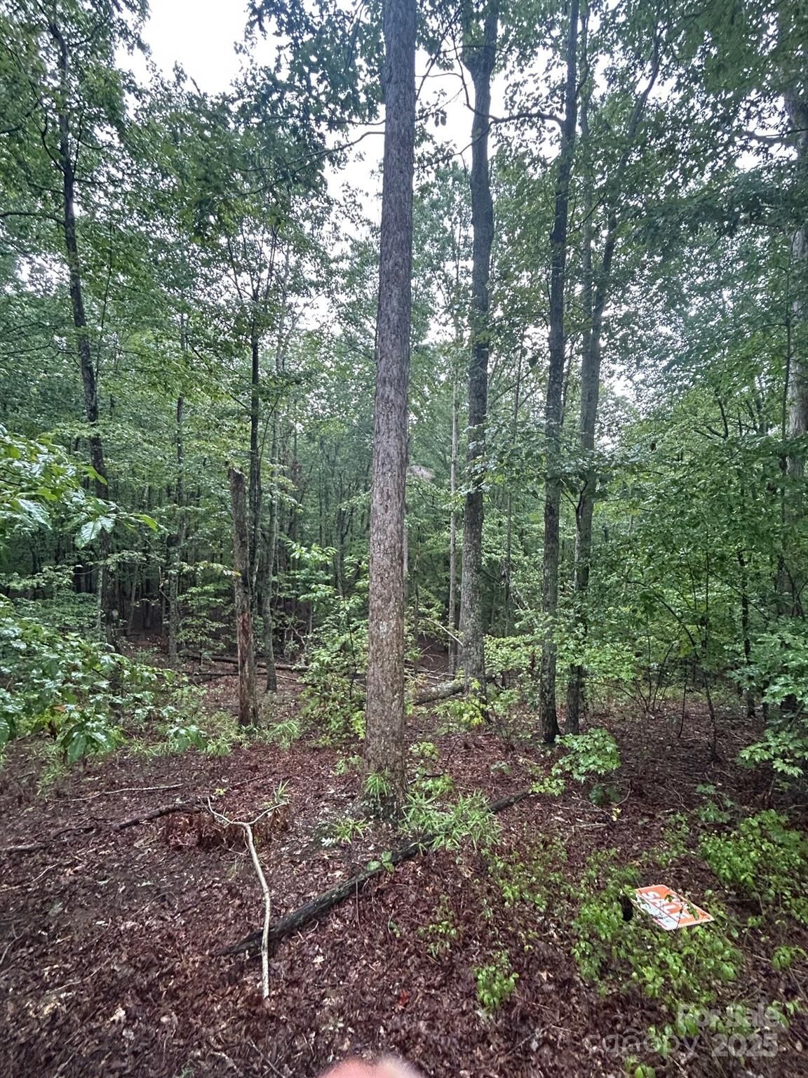 Property Photo: 90 Adirondack Trail 88 NC 28761