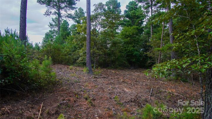 Property Photo: 00 Scenic Drive 185 NC 28630