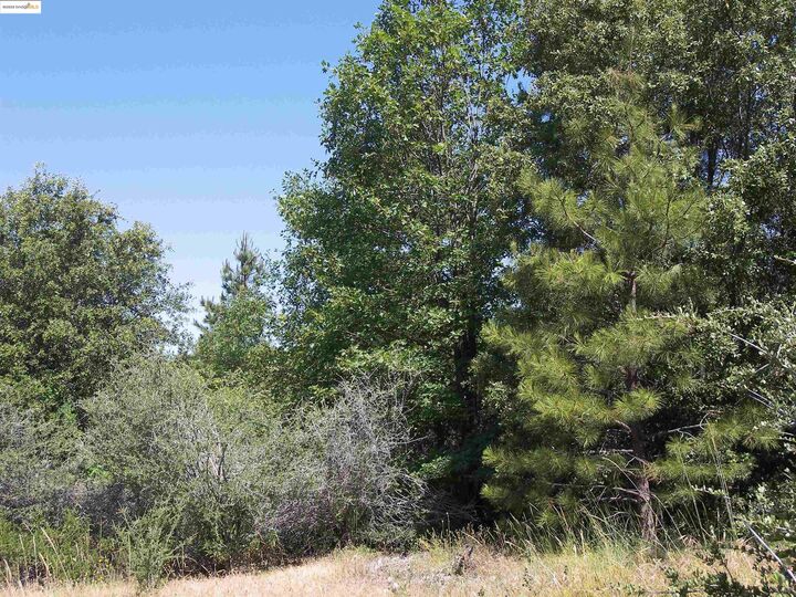 Property Photo: 19290 Yosemite Springs Rd CA 95321