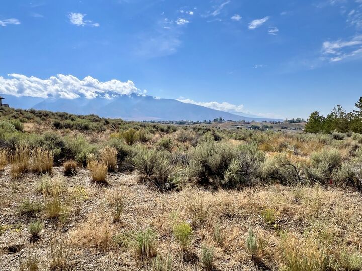 Property Photo:  472 Foxridge Drive  NV 89815 