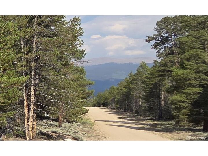 455 Spruce Dr  Leadville CO 80461 photo