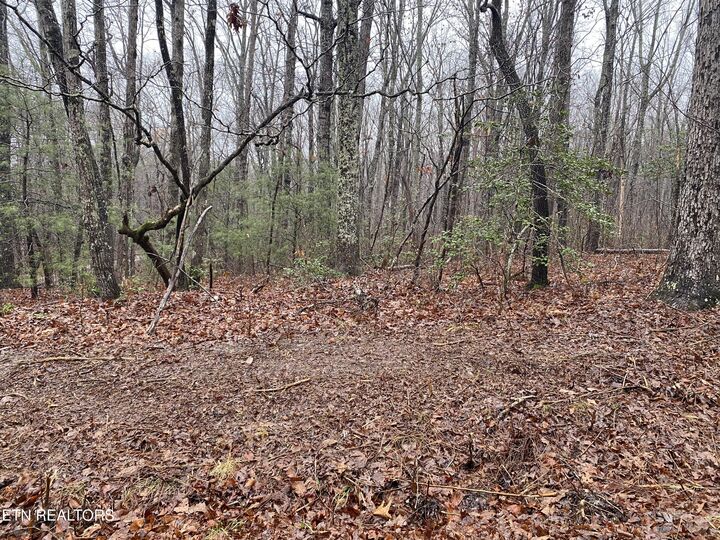 Property Photo: 757 & 758 David Crockett Rd TN 38555