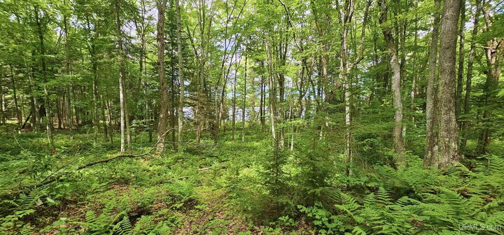Property Photo:  Lot 19 Keweenaw Pass  MI 49945 