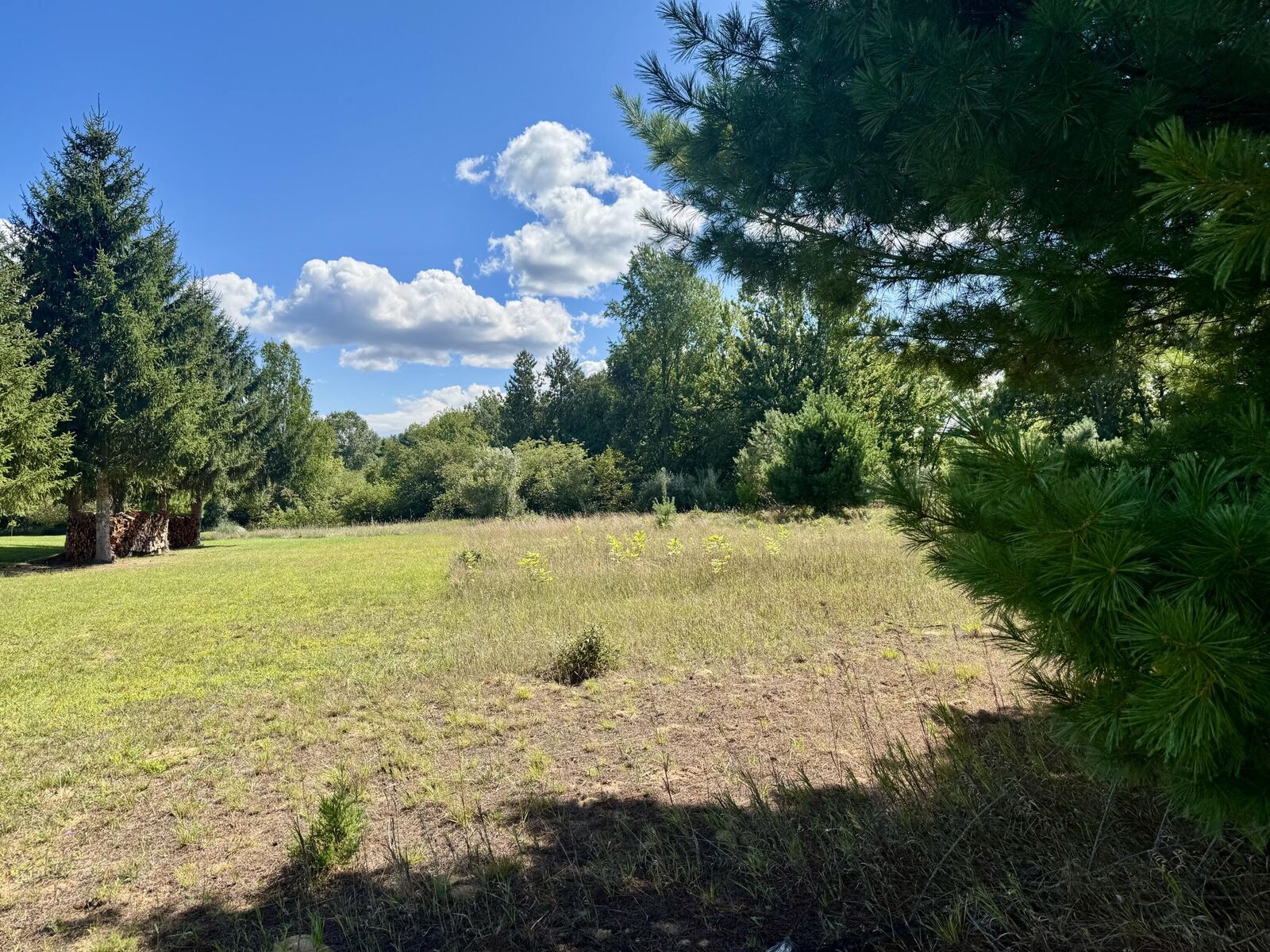 Property Photo:  6685 Cedar Trace  MI 49346 