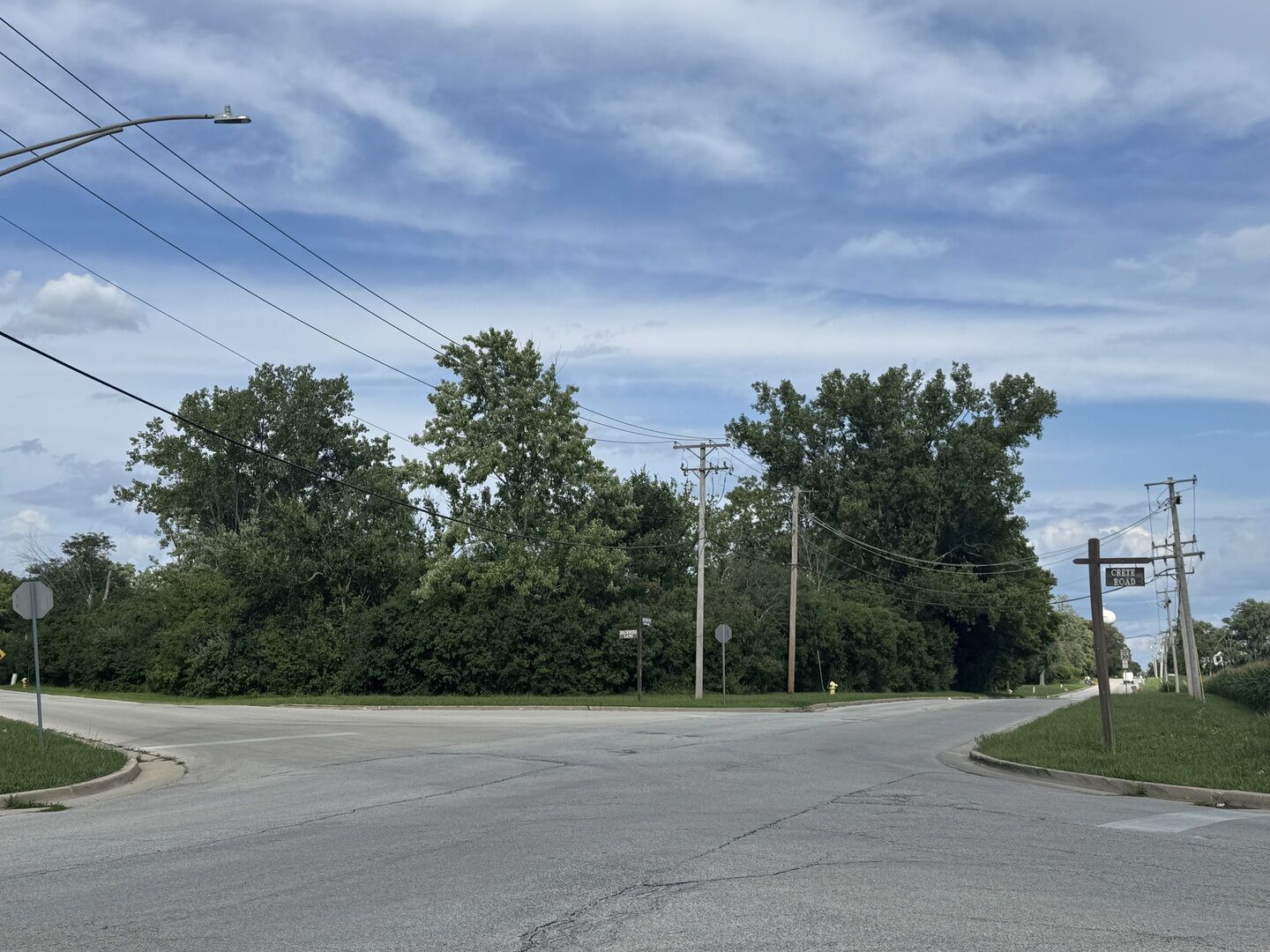 Property Photo: Lot 1 Beckwith Lane IL 60417