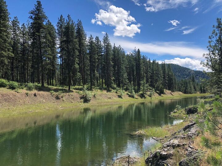 Property Photo: 4004 Northport Flat Creek Rd WA 99157