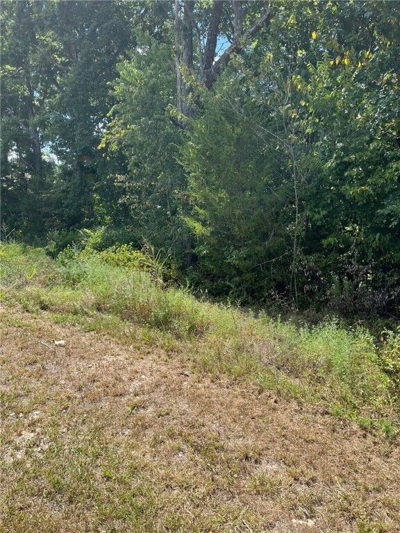 Property Photo: 34 Bassingham Drive AR 72715