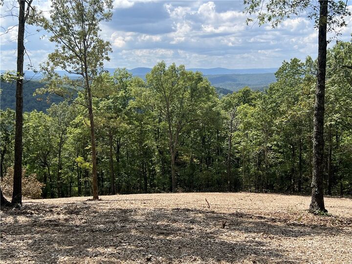 Nc 4055  Western Grove AR 72685 photo