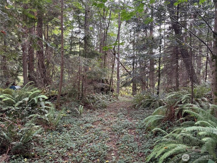 0 Xxx  Sills Road  Clinton WA 98236 photo