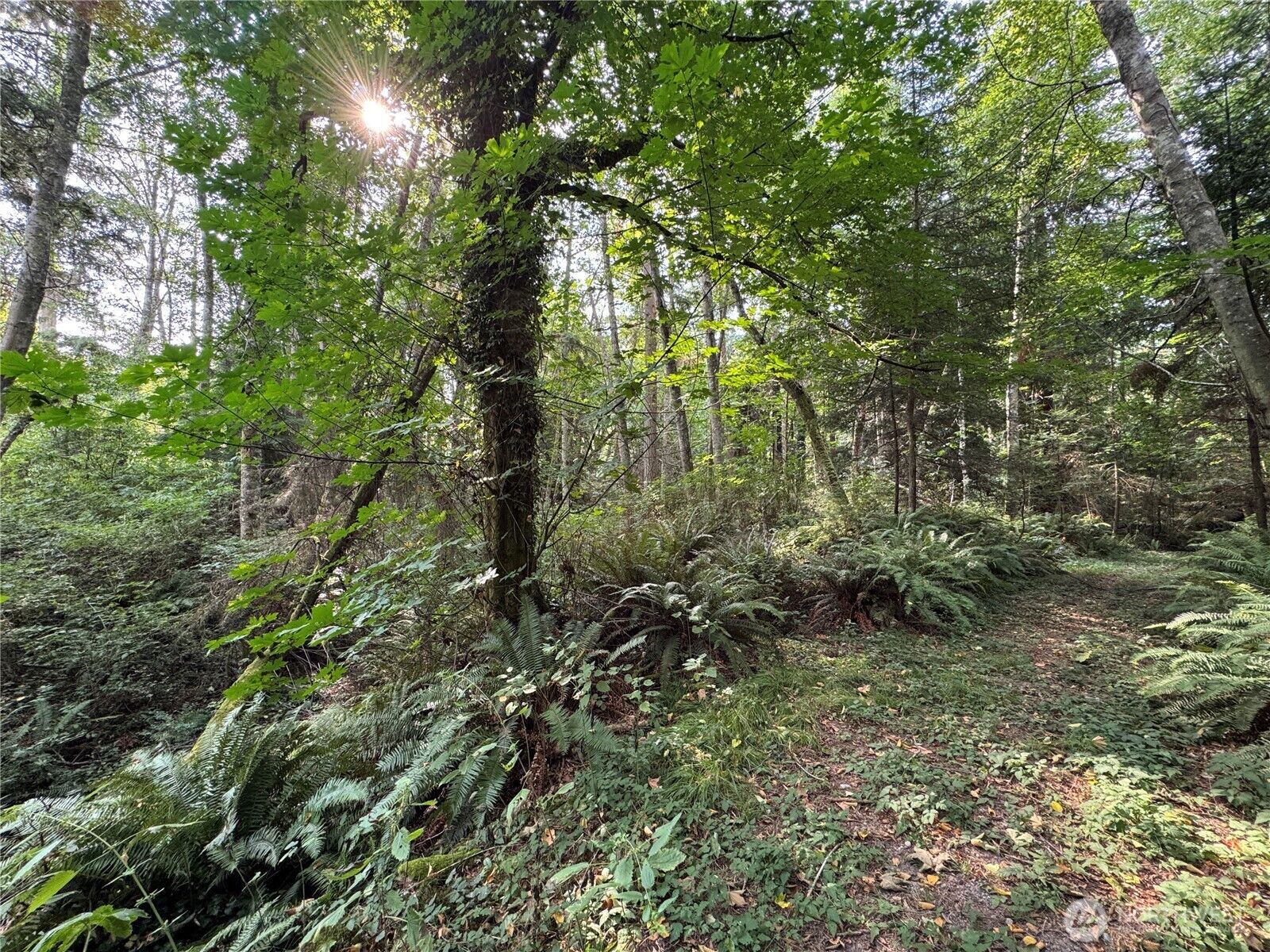 Property Photo: 0 Xxx Sills Road WA 98236