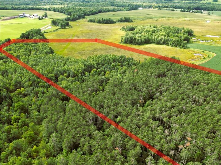 Property Photo:  34 Acres On Nachtwey Road  WI 54819 
