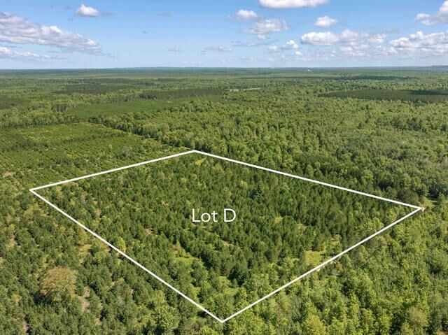 Property Photo: 15 Acres Wallin Road MI 49683