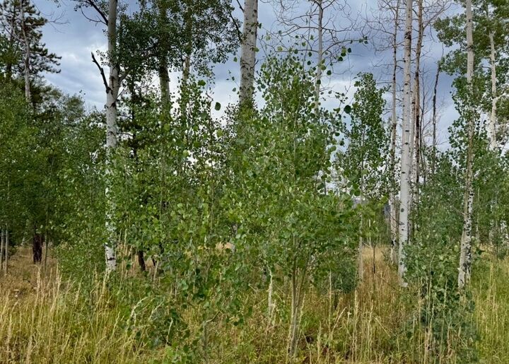 Property Photo:  Lot 200 Fargo Way  CO 80467 