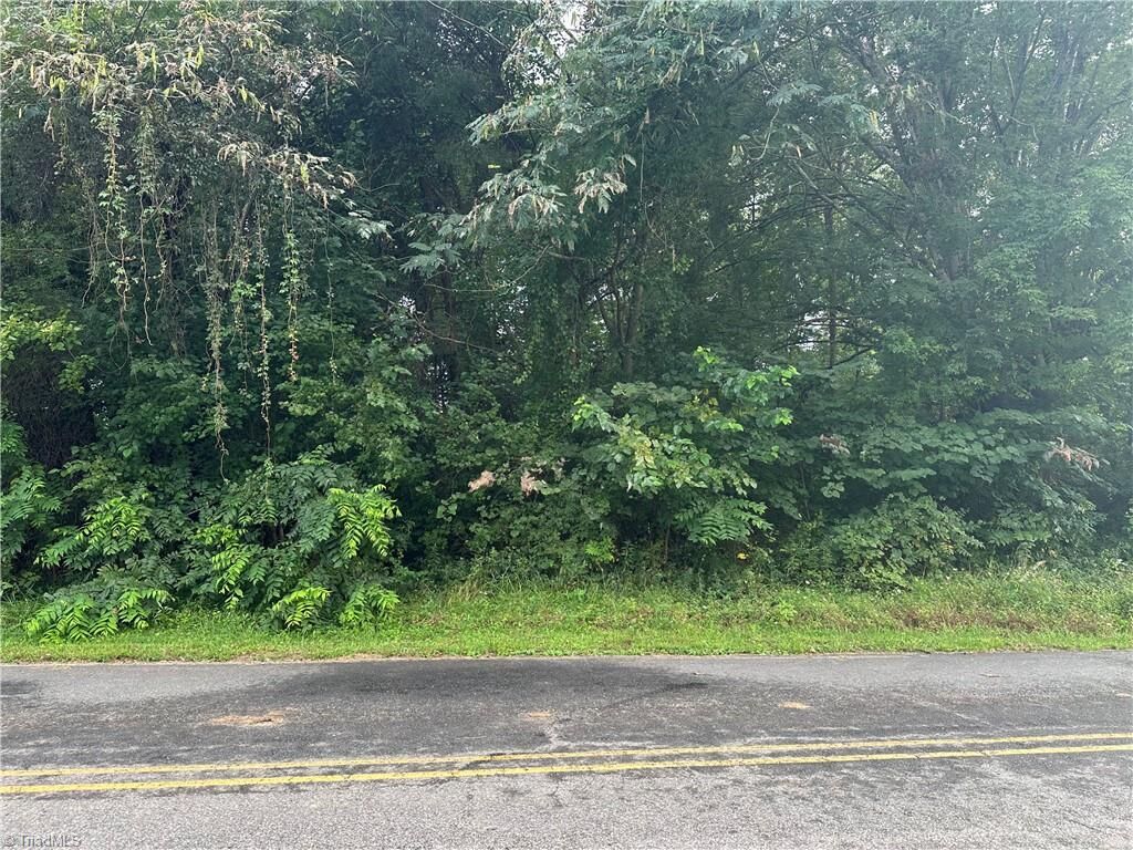Property Photo:  00 Paynetown Road  NC 27030 