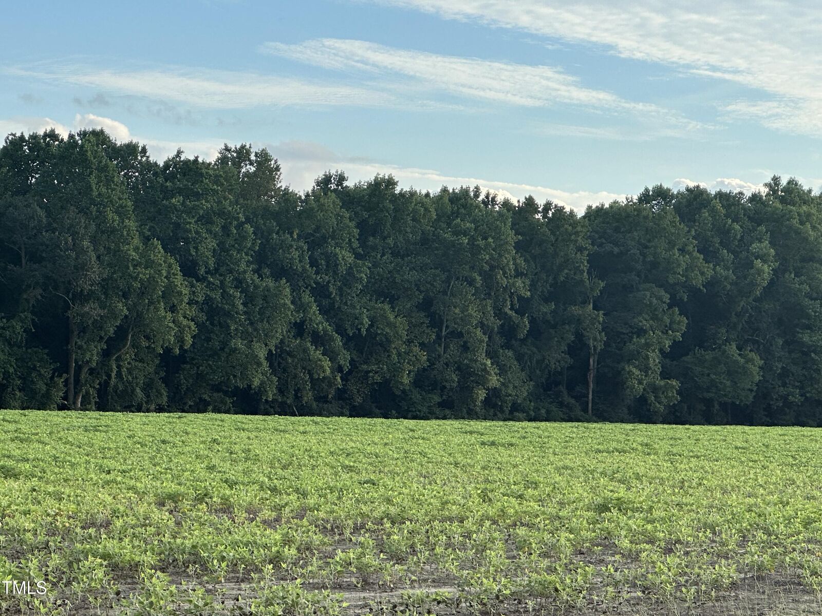 Property Photo:  10581 Nc Hwy 42  NC 27557 