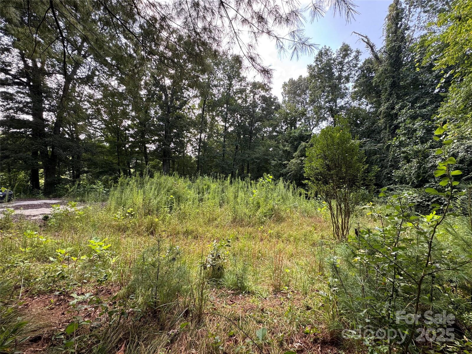Property Photo: 181 Liberty Road NC 28715