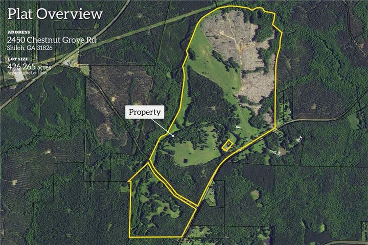 Property Photo:  2450 Chestnut Grove Road  GA 31826 