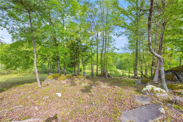 Property Photo: 2450 Chestnut Grove Road GA 31826