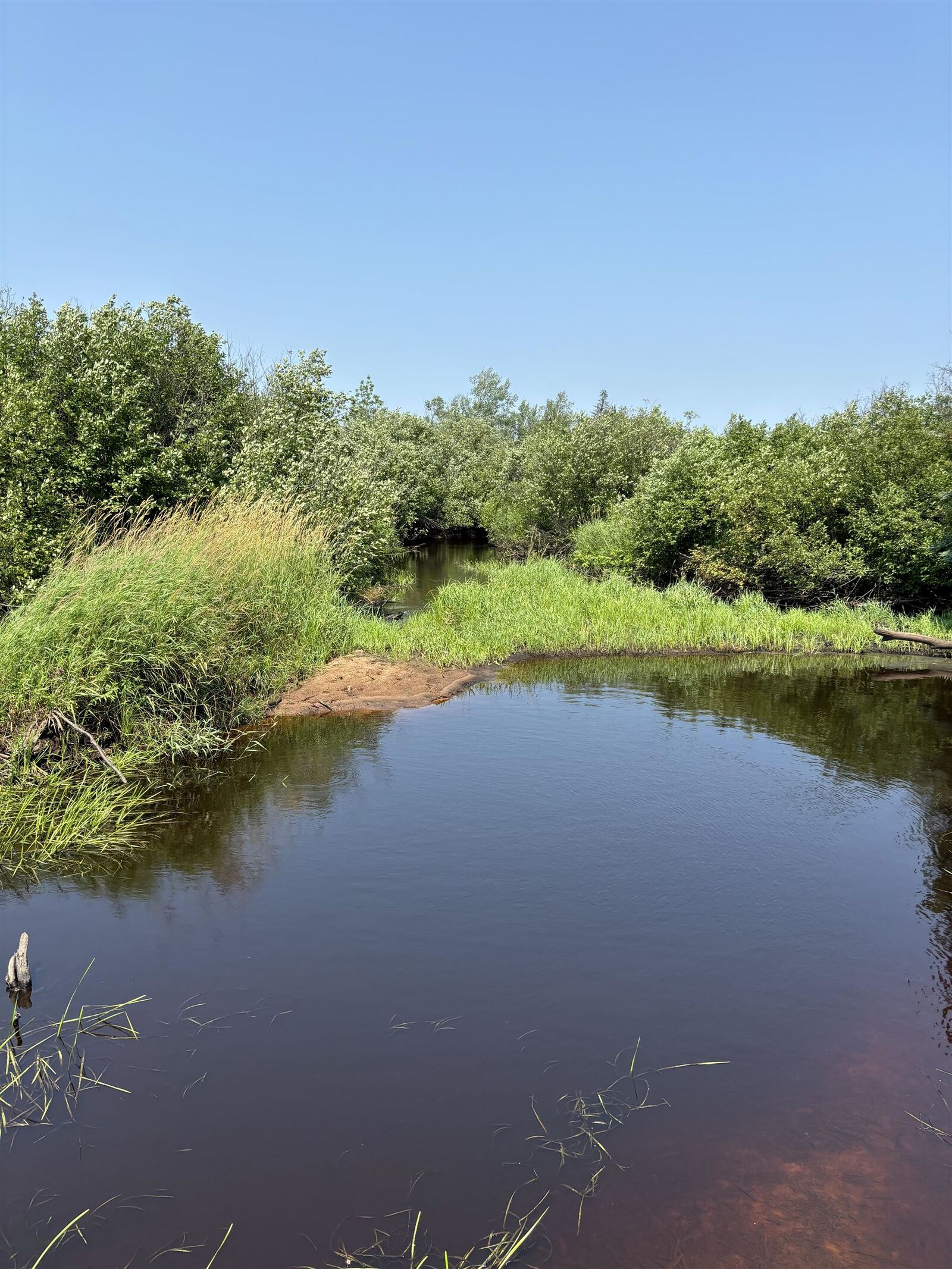 Property Photo:  148 Acres County Hwy E  WI 54842 