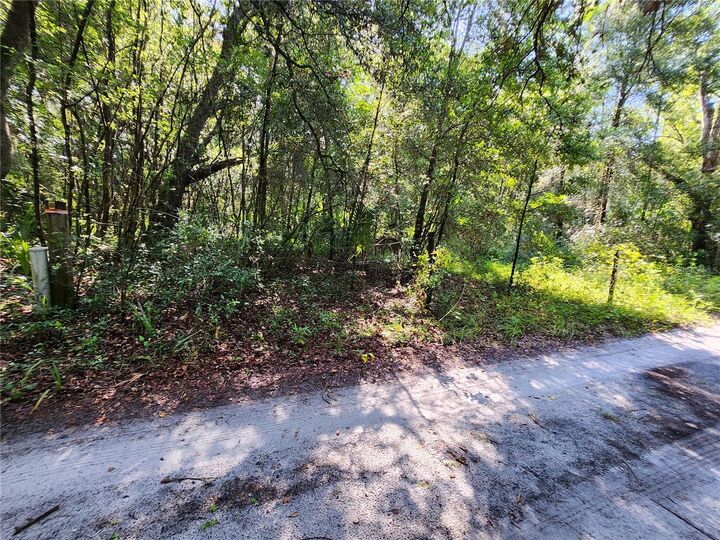 Property Photo:  11921 SE 138th Terrace  FL 32179 