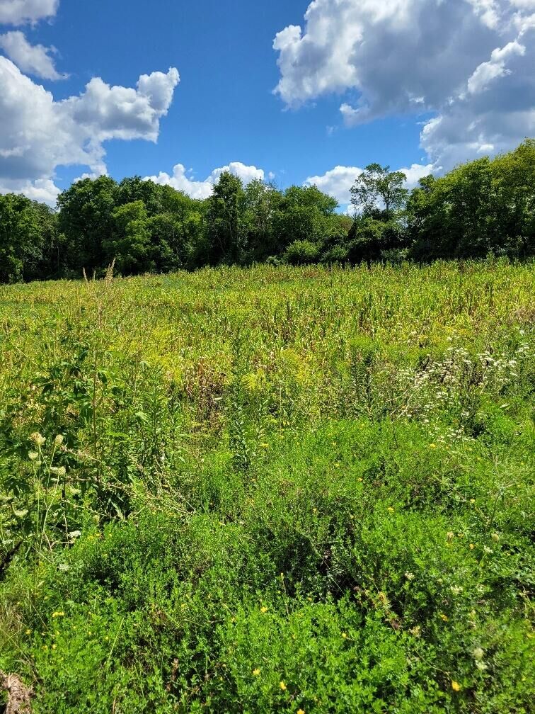 Property Photo: 0 Maple Ave WI 53089