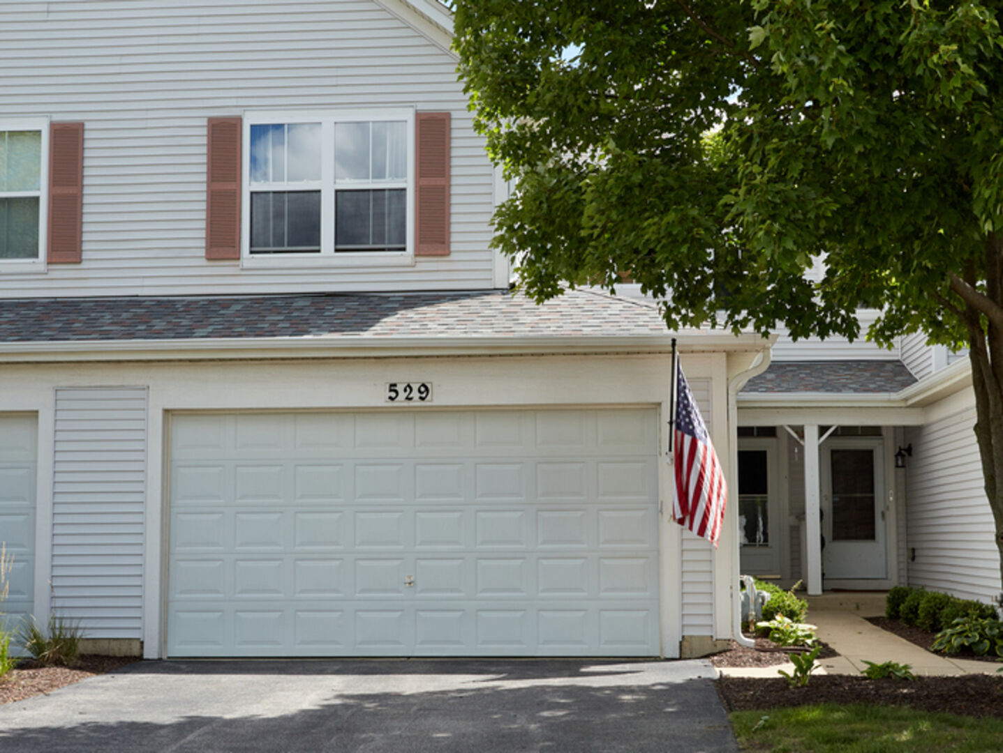 Property Photo:  529 Horizon Drive  IL 60103 