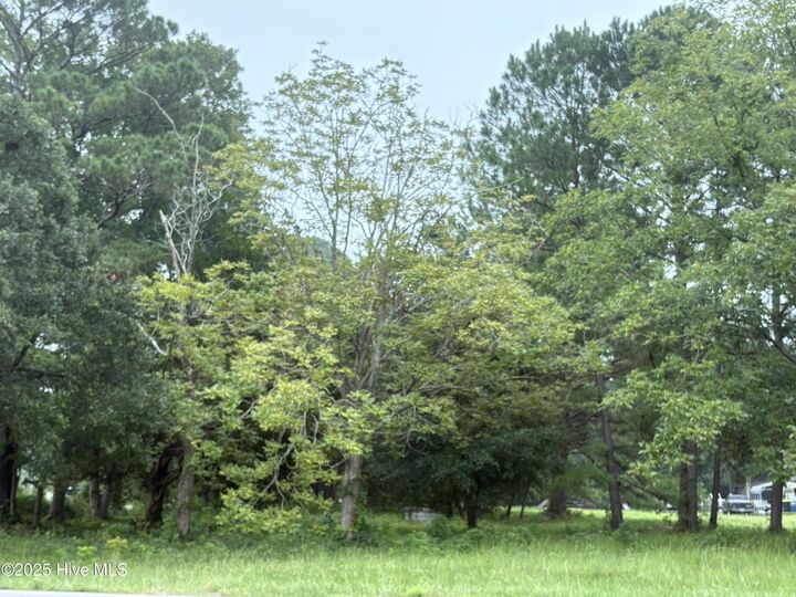 Property Photo:  917 Bricklanding Road SW  NC 28470 