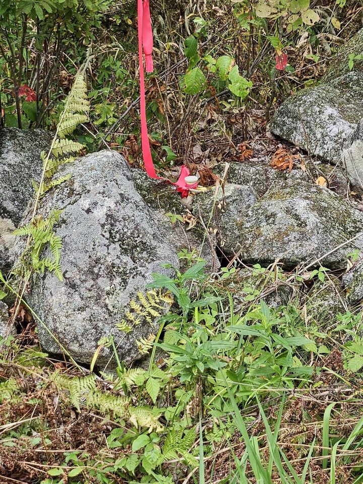 Property Photo: 0 Ossipee Mountain Road Road NH 03254