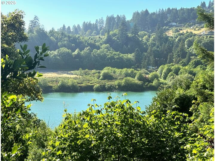 Property Photo:  97790 S Bank Chetco River Rd  OR 97415 
