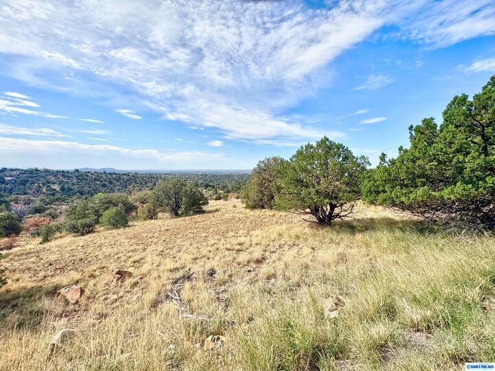 Property Photo:  Xx Wendy Road  NM 88061 