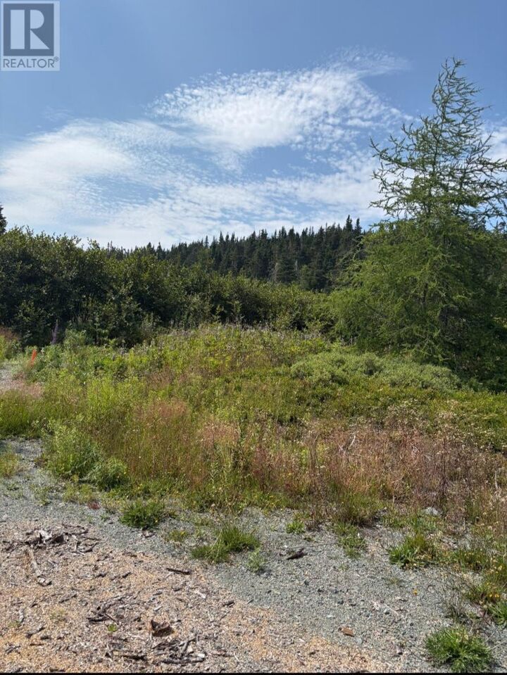 Property Photo:  17 Batson'S Road  NL A0C 2H0 