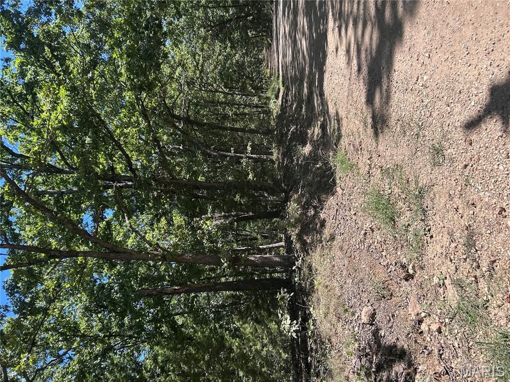 Property Photo: 00 Possum Hollow MO 65535