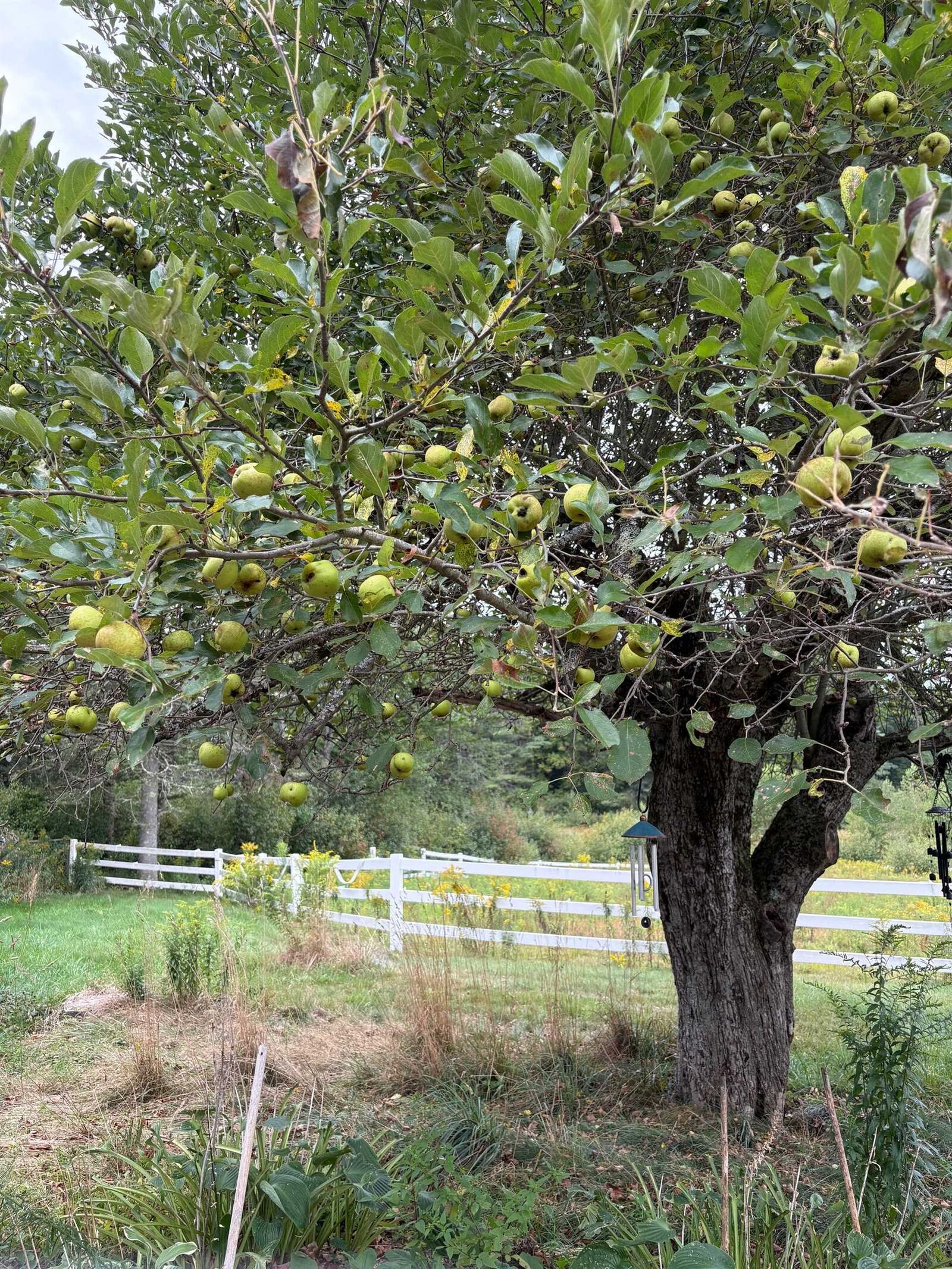 Property Photo: 715 Gilmore Pond Road NH 03452
